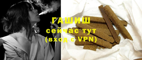 гидра Вяземский