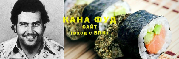 гидра Вяземский