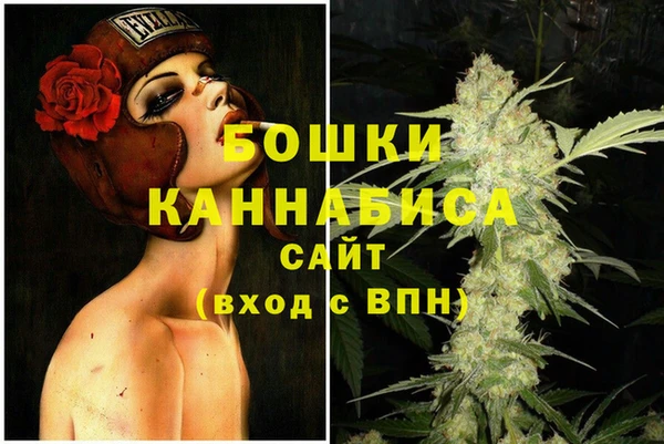 гидра Вяземский