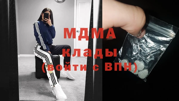 гидра Вяземский