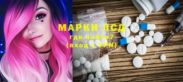 гидра Вяземский