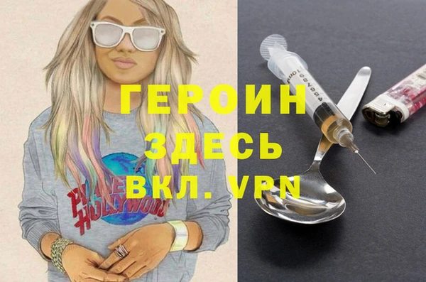 гидра Вяземский