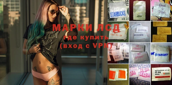 гидра Вяземский