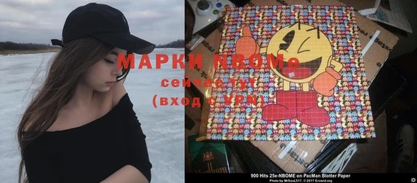 гидра Вяземский
