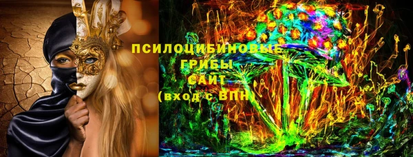 гидра Вяземский