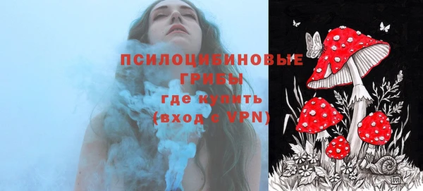 гидра Вяземский
